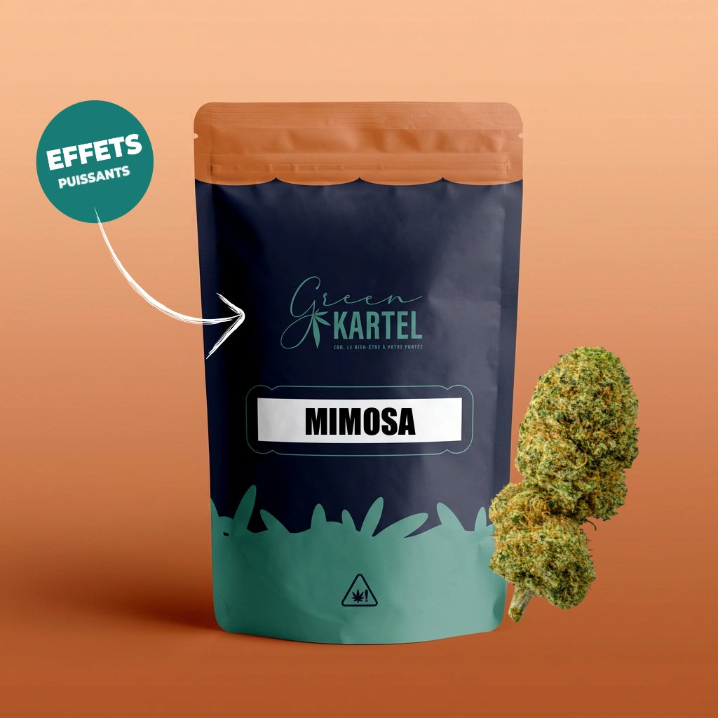 green-kartel-mimosa-gk-amplifi-fleur-cbd-5g-intense image 1