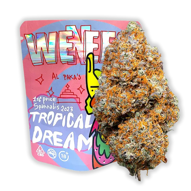 green-kartel-magic-sauce-tropical-dream-fleur-cbd-5g-indoor image 1