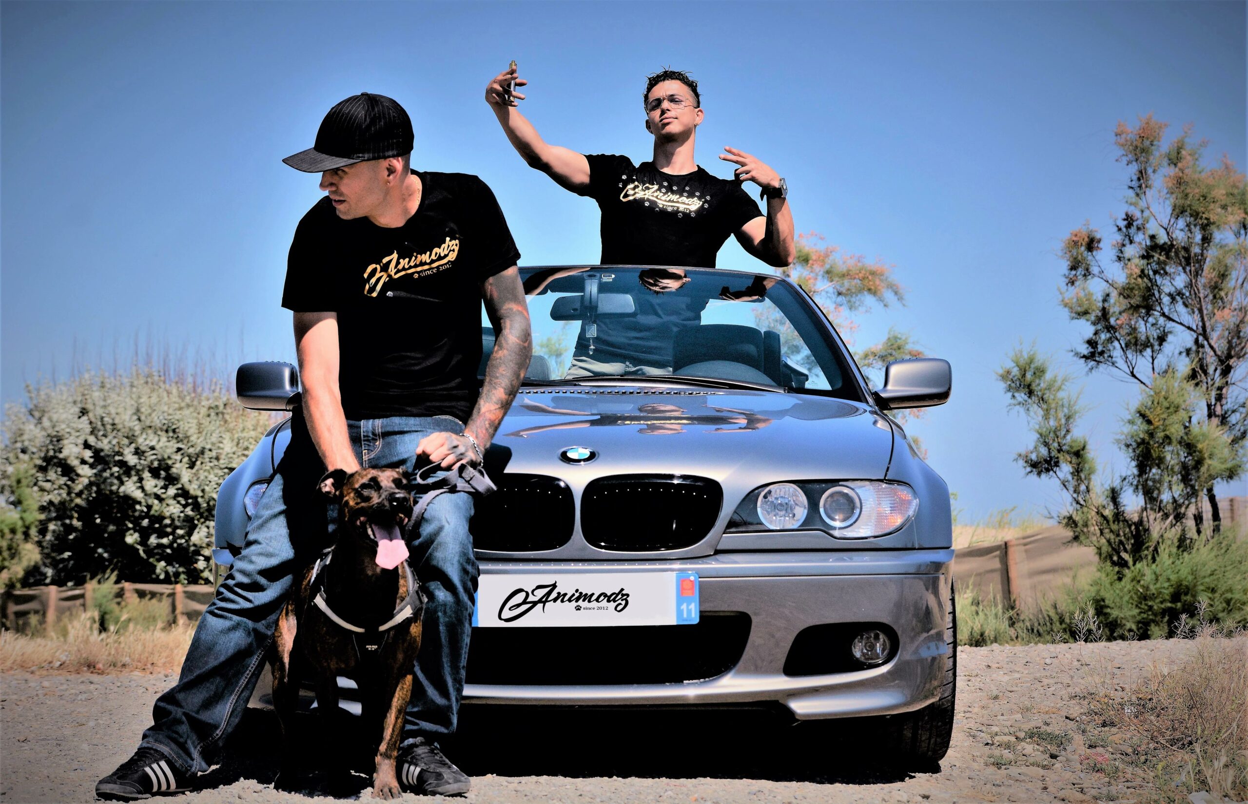 animodz-pimp-t-shirt-coton-col-rond-sigl image 4