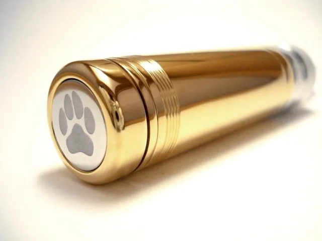 animodz-les-modz-amstaff-brass-tard-mod-m-ca-laiton-poli-18350 image 1