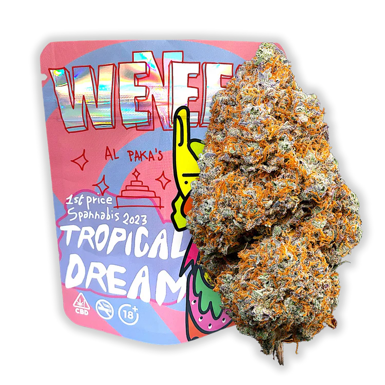 green-kartel-magic-sauce-tropical-dream-fleur-cbd-5g-indoor image 1