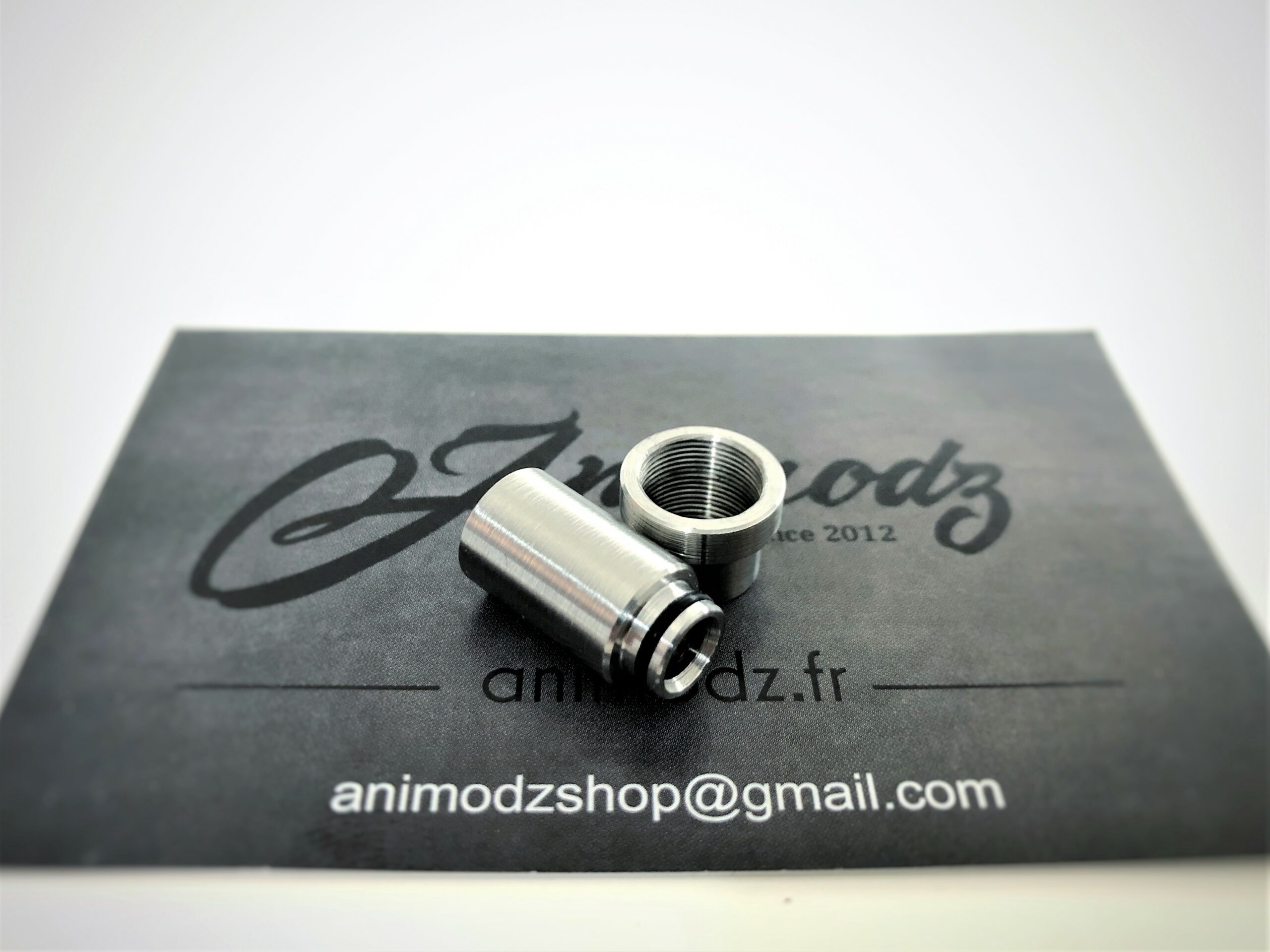animodz-pug-bridge-boro-nautilus-bvc-inox image 3