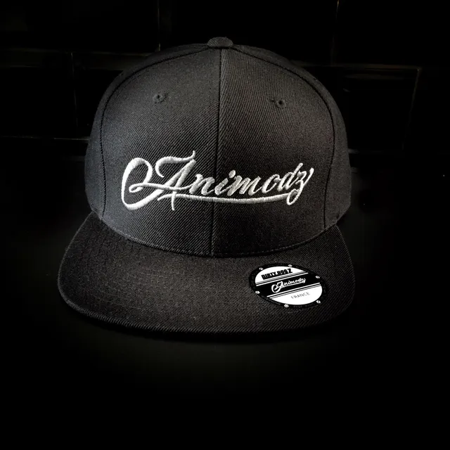 animodz-casquette-snapback-noir-gris-logo-brod image 1