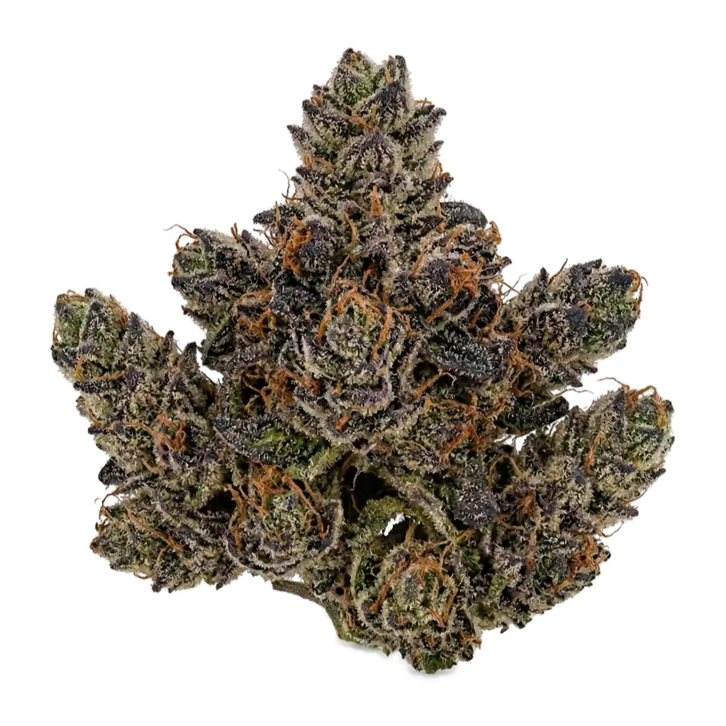 green-kartel-fleurs-cbd-guava-indoor-tropicale-relaxante image 3